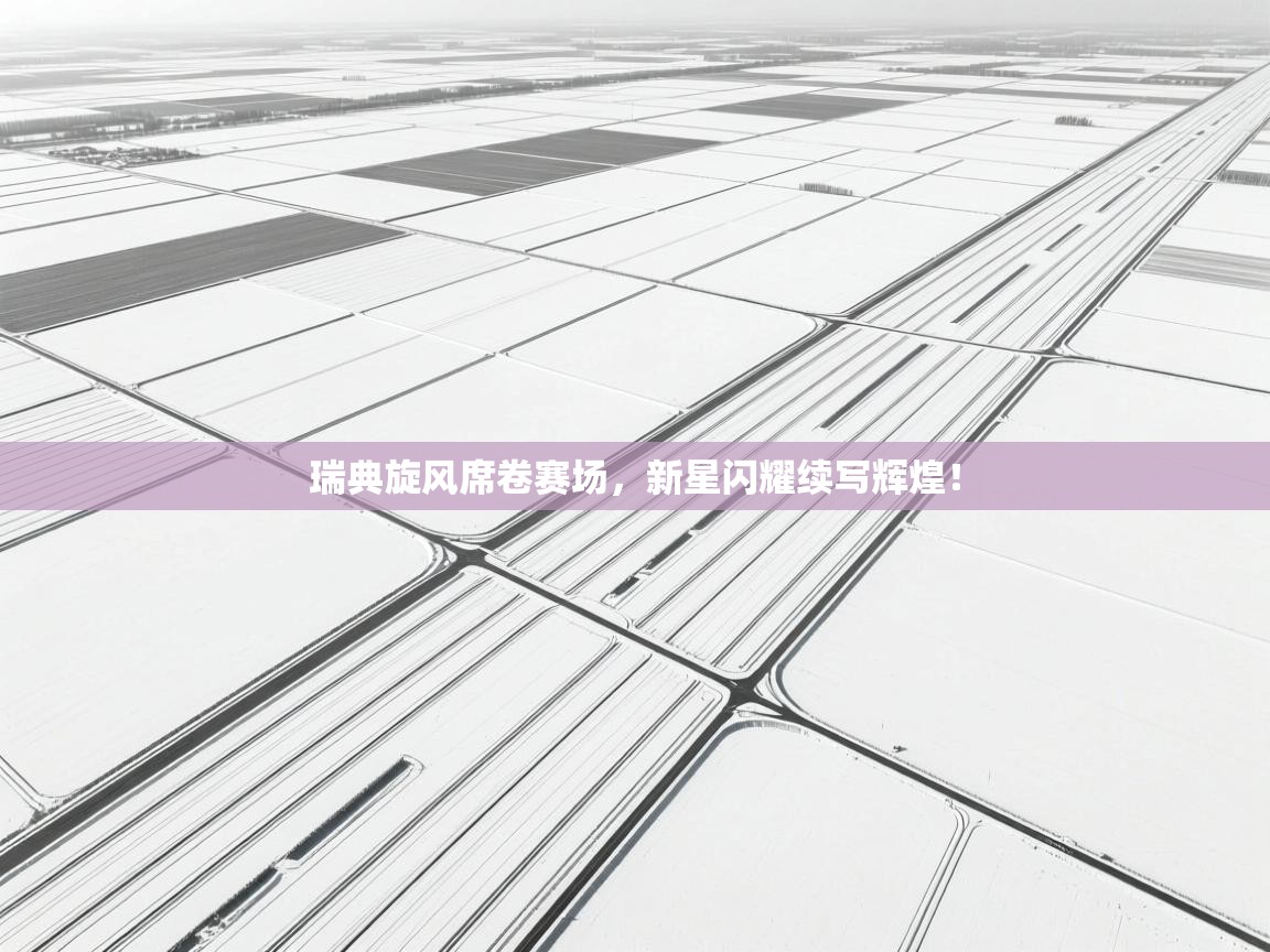 瑞典旋风席卷赛场,新星闪耀续写辉煌! 第1张