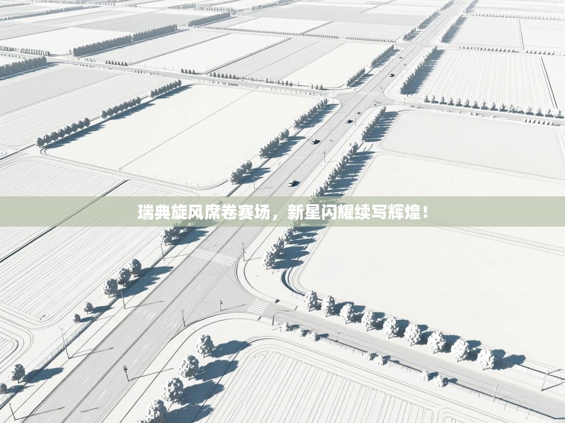 瑞典旋风席卷赛场,新星闪耀续写辉煌! 第2张