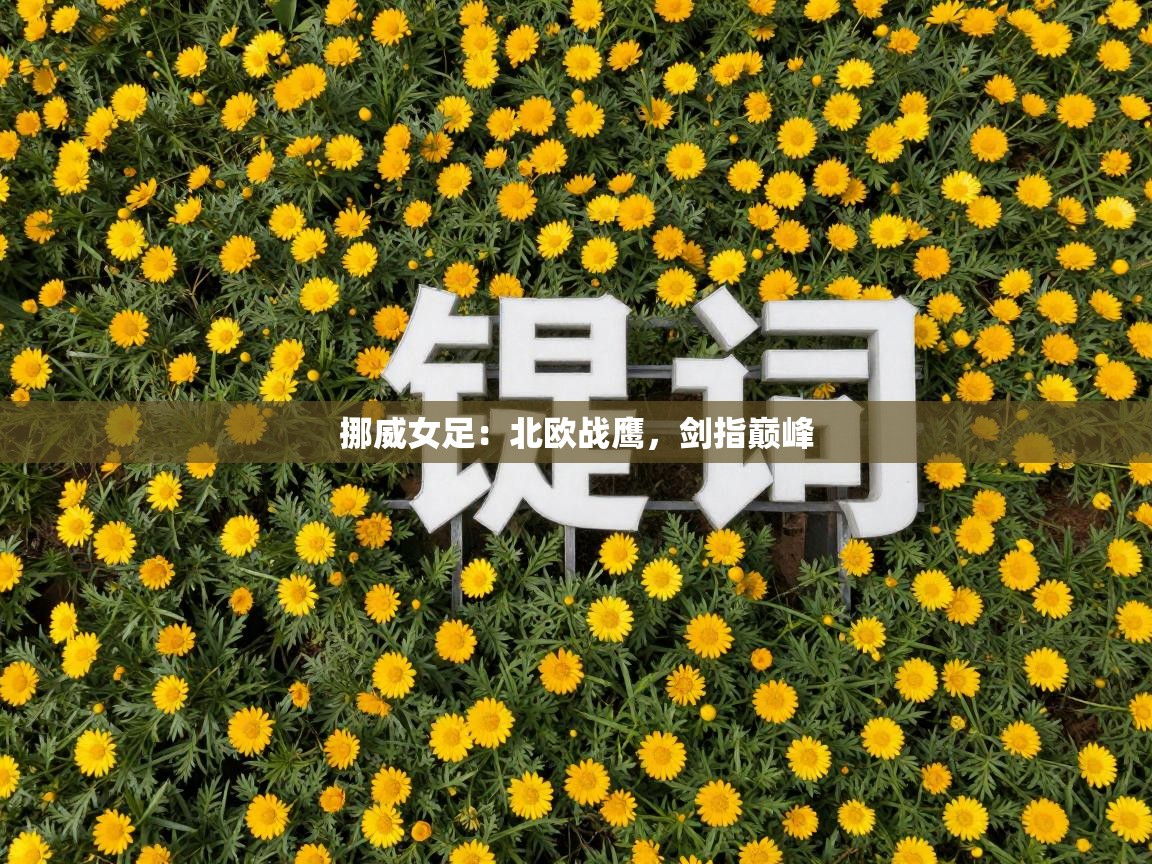 挪威女足：北欧战鹰，剑指巅峰  第2张